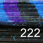222 Dark Halo